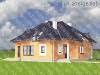        A-254-1P -  