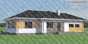          A-315-1P -  